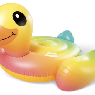 طفاحية البطة - حجم وسط