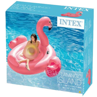 طفاحية الفلامنقو - حجم كبير