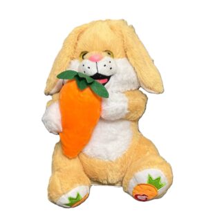 دب حيوانات أغاني وحركات - بيج