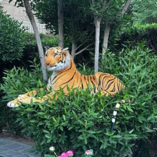 نمر فرو كبير